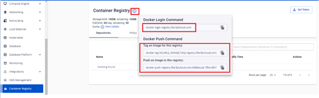 Container Registry login information