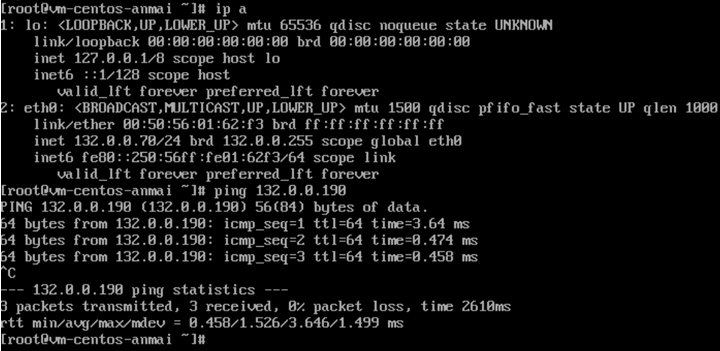 Verification of new IP settings and ping test on CentOS