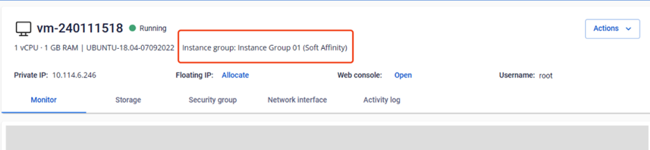 Instance attached to Instance Group