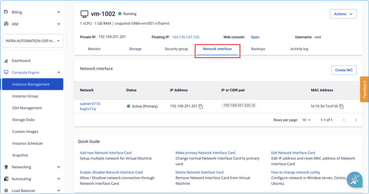Network Interface screen in Instance Management