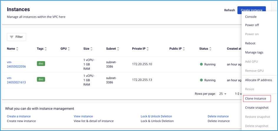 Actions menu with Clone instance option