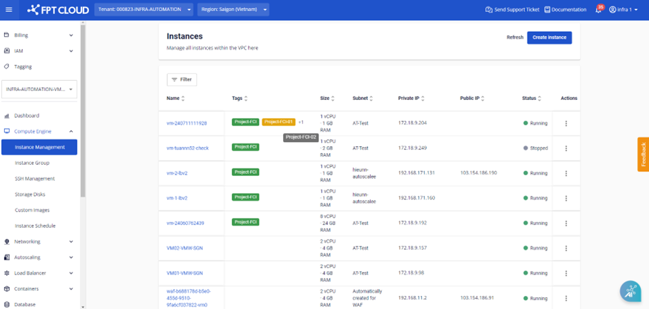 Instance list with assigned tags