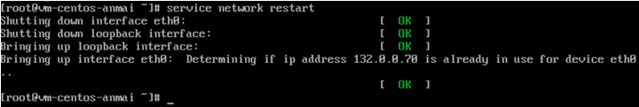 Kết quả khởi động lại dịch vụ mạng trên CentOS